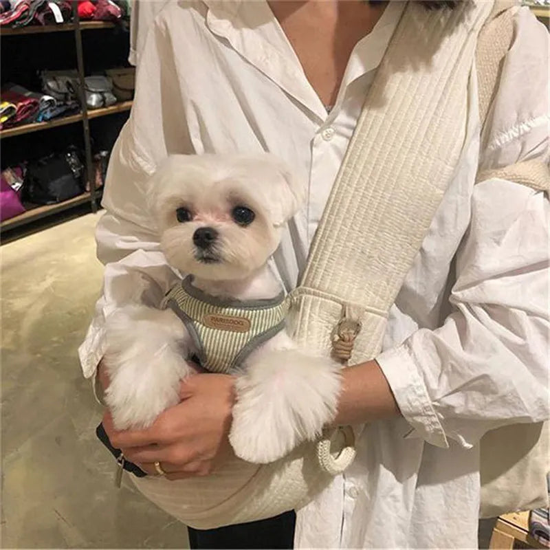 ¡Lleva a tu Mascota con Estilo y Comodidad Todo el Año! - Mascotalux