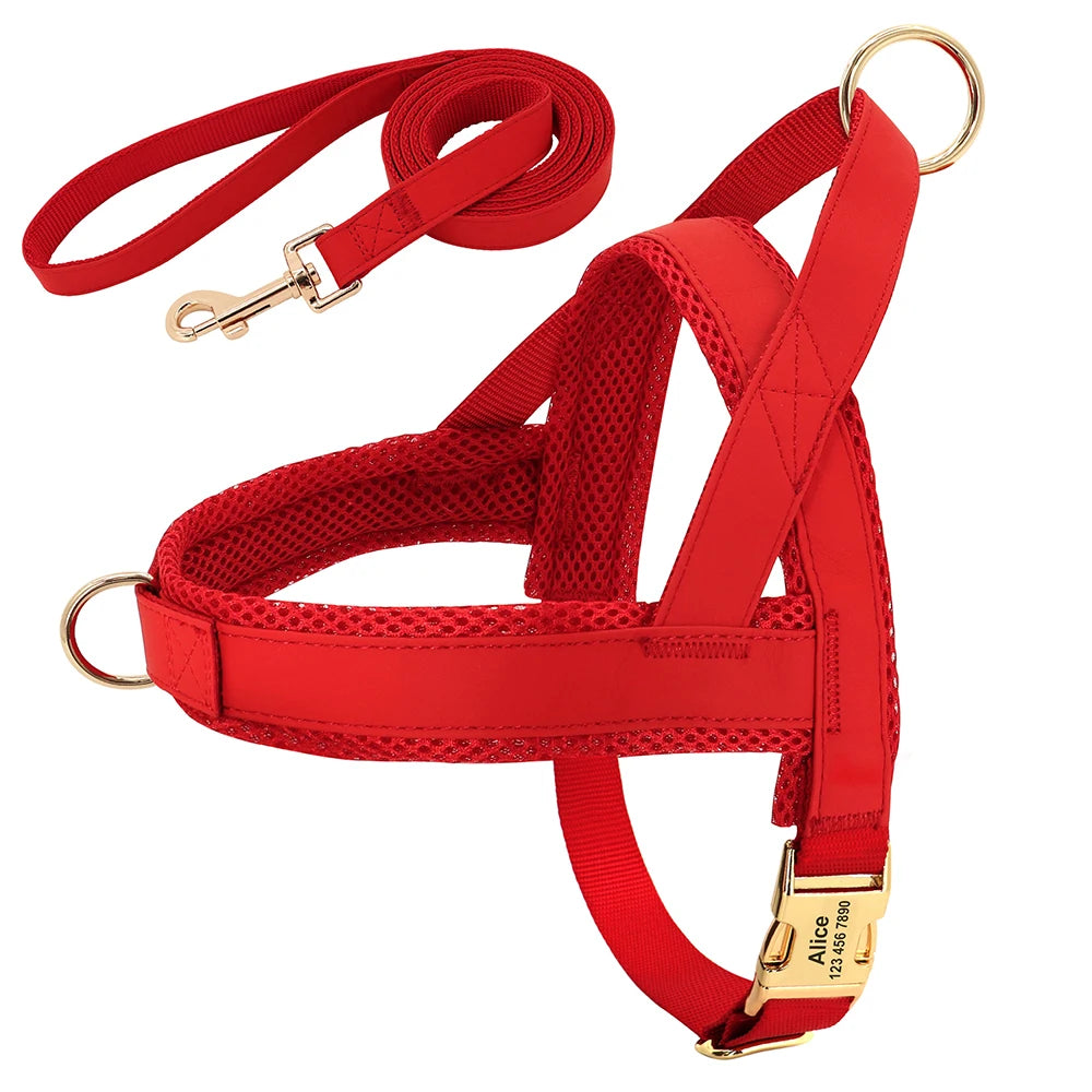 ¡El Collar Perfecto para tu Mejor Amigo Canino! - Mascotalux
