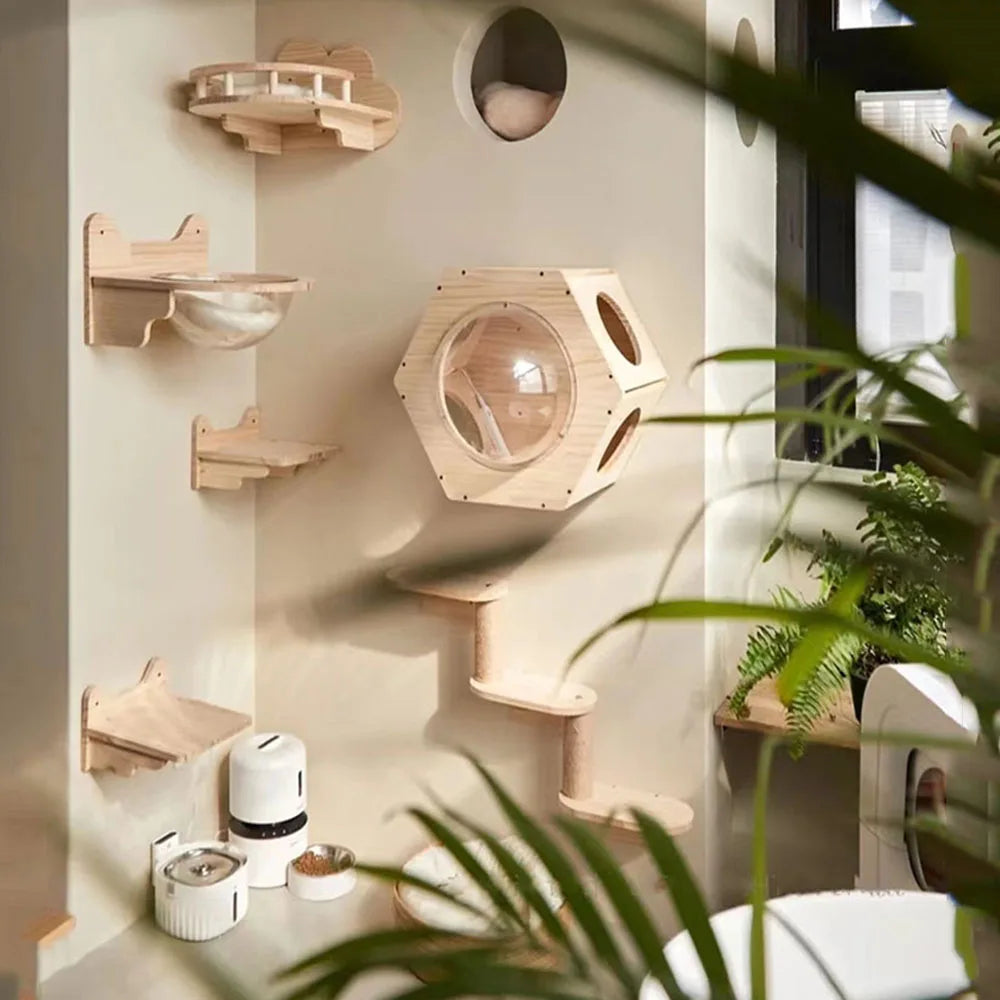 Paraíso elevado para gatos: ¡Descubre nuestra hamaca de pared