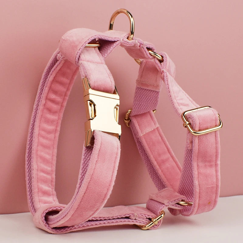 ¡Elegancia y Seguridad en un Solo Collar! Descubre Nuestro Collar y Correa de Terciopelo Rosa con Placa de Identificación Grabada para Perros de Todas las Tallas. - Mascotalux
