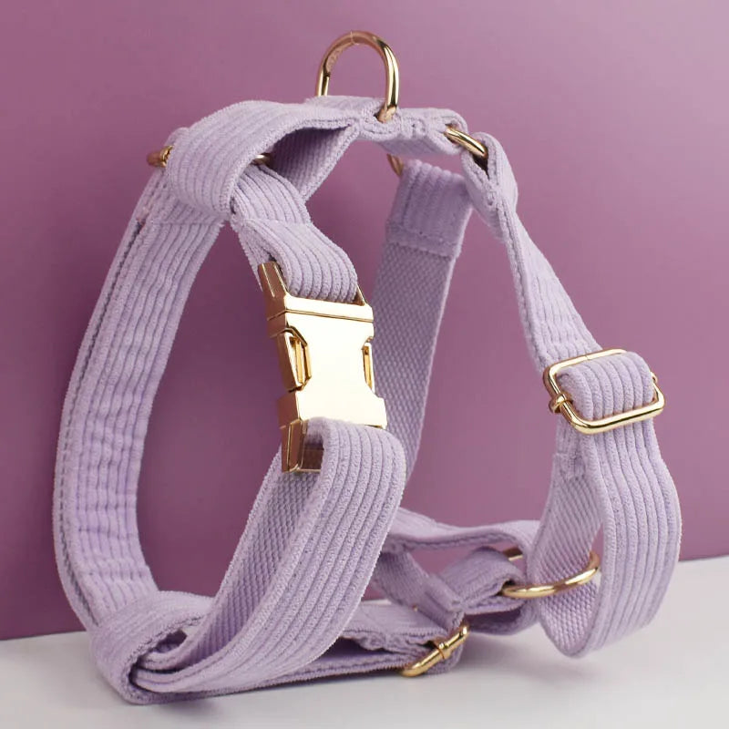 Collar y Correa de Pana Rosa y Púrpura con Placa de Identificación Personalizada para Perros - Elegancia y Seguridad para tu Mascota - Mascotalux