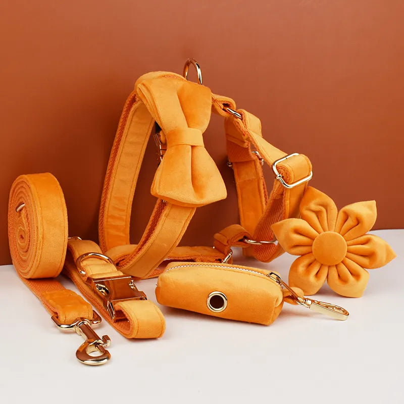 Conjunto de Collar y Correa de Terciopelo Naranja para Perros: Estilo Exclusivo y Seguridad Personalizada para tu Compañero Peludo - Mascotalux
