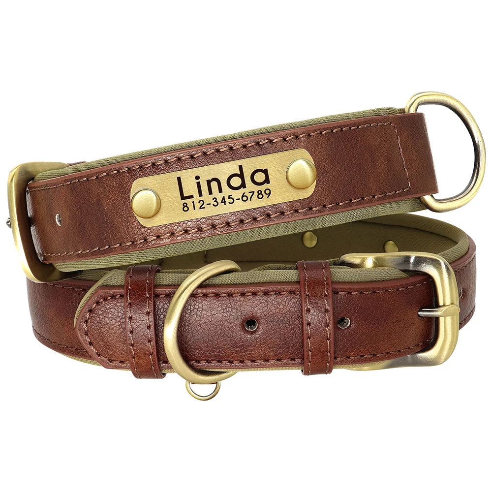 🐾 ¡El Collar de Cuero Personalizado que Tu Perro Merece! 🐾