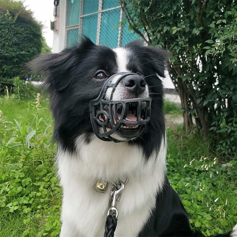 Bozal ajustable para perro de policarbonato para perros. Mascarilla ajustable para mascotas. - Mascotalux