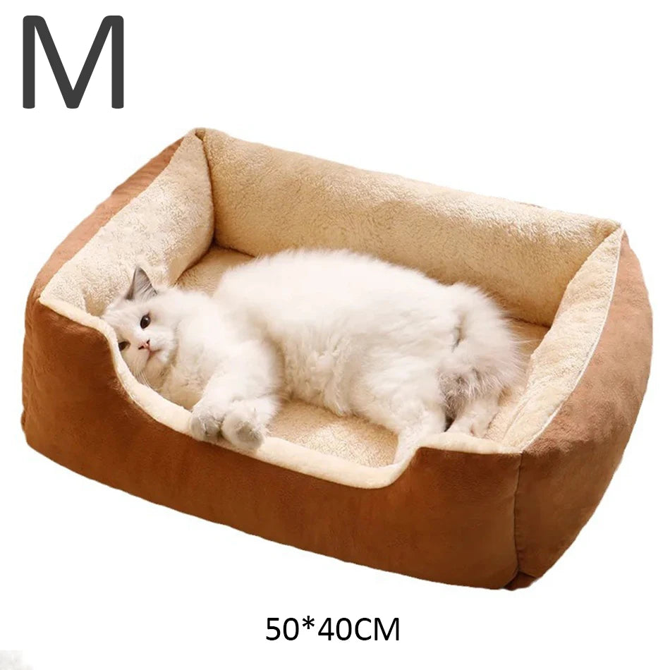 ✨ Cama de felpa para gatos – ¡Comodidad y calidez aseguradas! 🐱💤