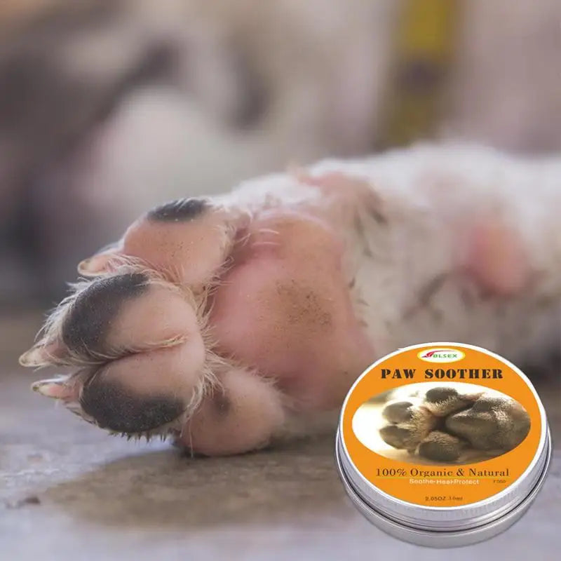 ¡Dile adiós a las patas secas! Bálsamo Natural que tu mascota amará. - Mascotalux