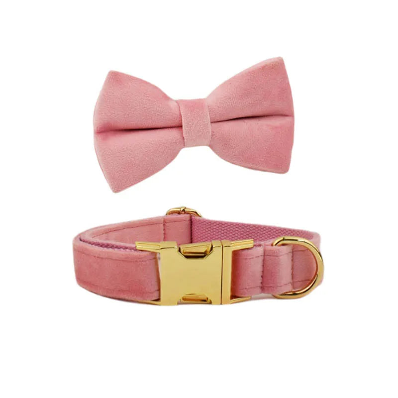 ¡Elegancia y Seguridad en un Solo Collar! Descubre Nuestro Collar y Correa de Terciopelo Rosa con Placa de Identificación Grabada para Perros de Todas las Tallas. - Mascotalux