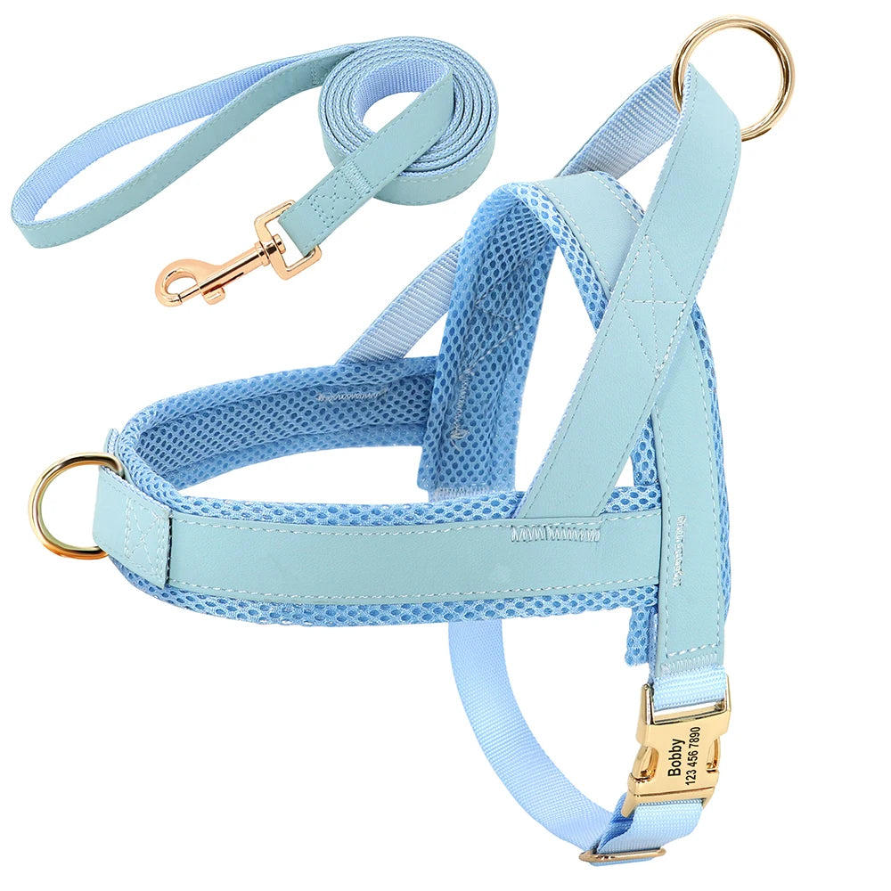 ¡El Collar Perfecto para tu Mejor Amigo Canino! - Mascotalux