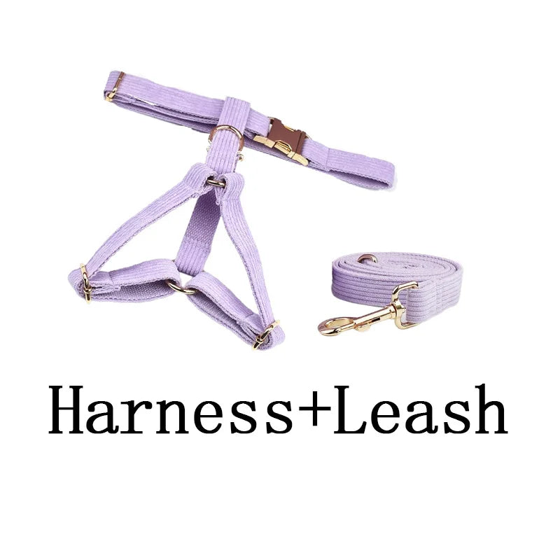 Collar y Correa de Pana Rosa y Púrpura con Placa de Identificación Personalizada para Perros - Elegancia y Seguridad para tu Mascota - Mascotalux