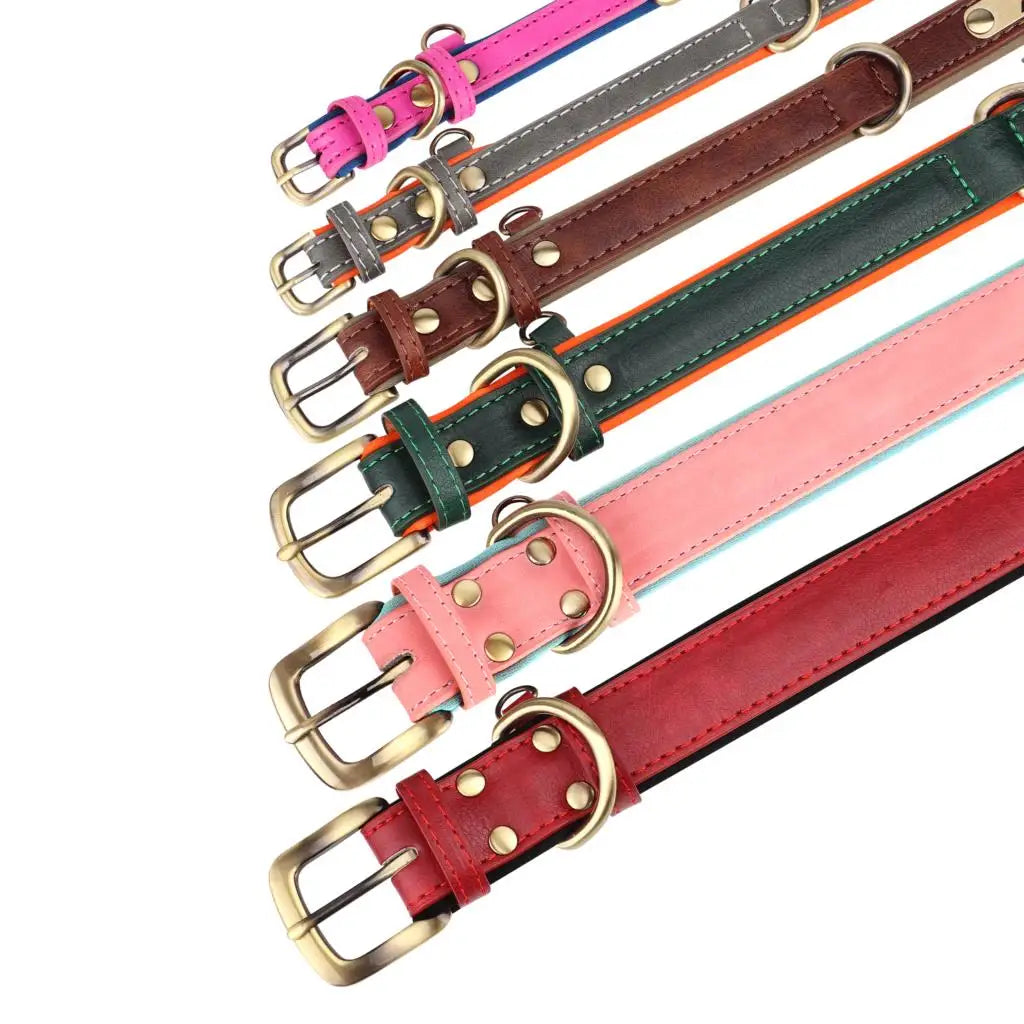 🐾 ¡El Collar de Cuero Personalizado que Tu Perro Merece! 🐾