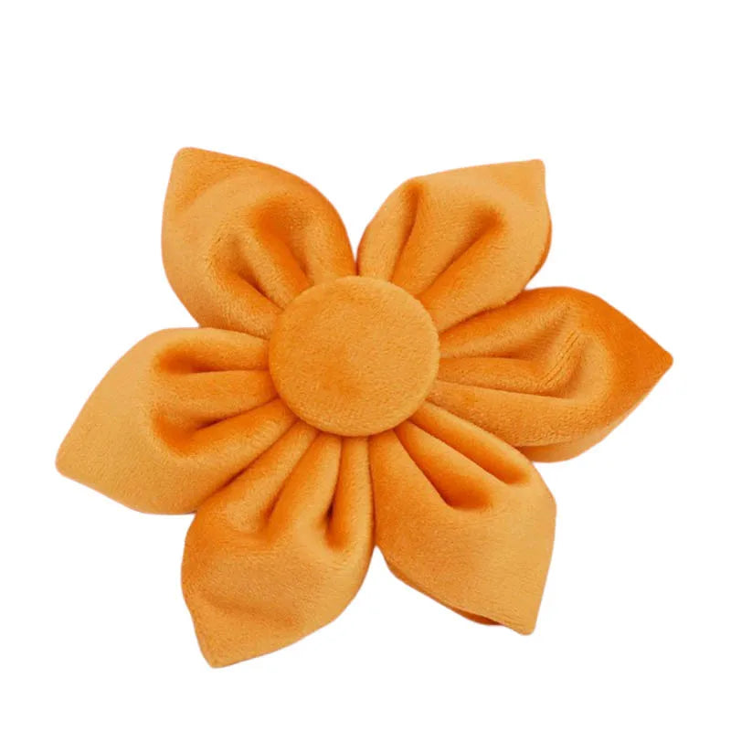 Conjunto de Collar y Correa de Terciopelo Naranja para Perros: Estilo Exclusivo y Seguridad Personalizada para tu Compañero Peludo - Mascotalux
