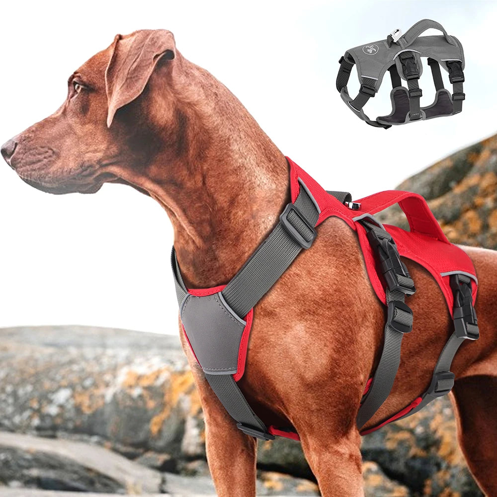 Arnés Reflectante para Perros: Ajustable, Acolchado y Sin Tirones - Mascotalux