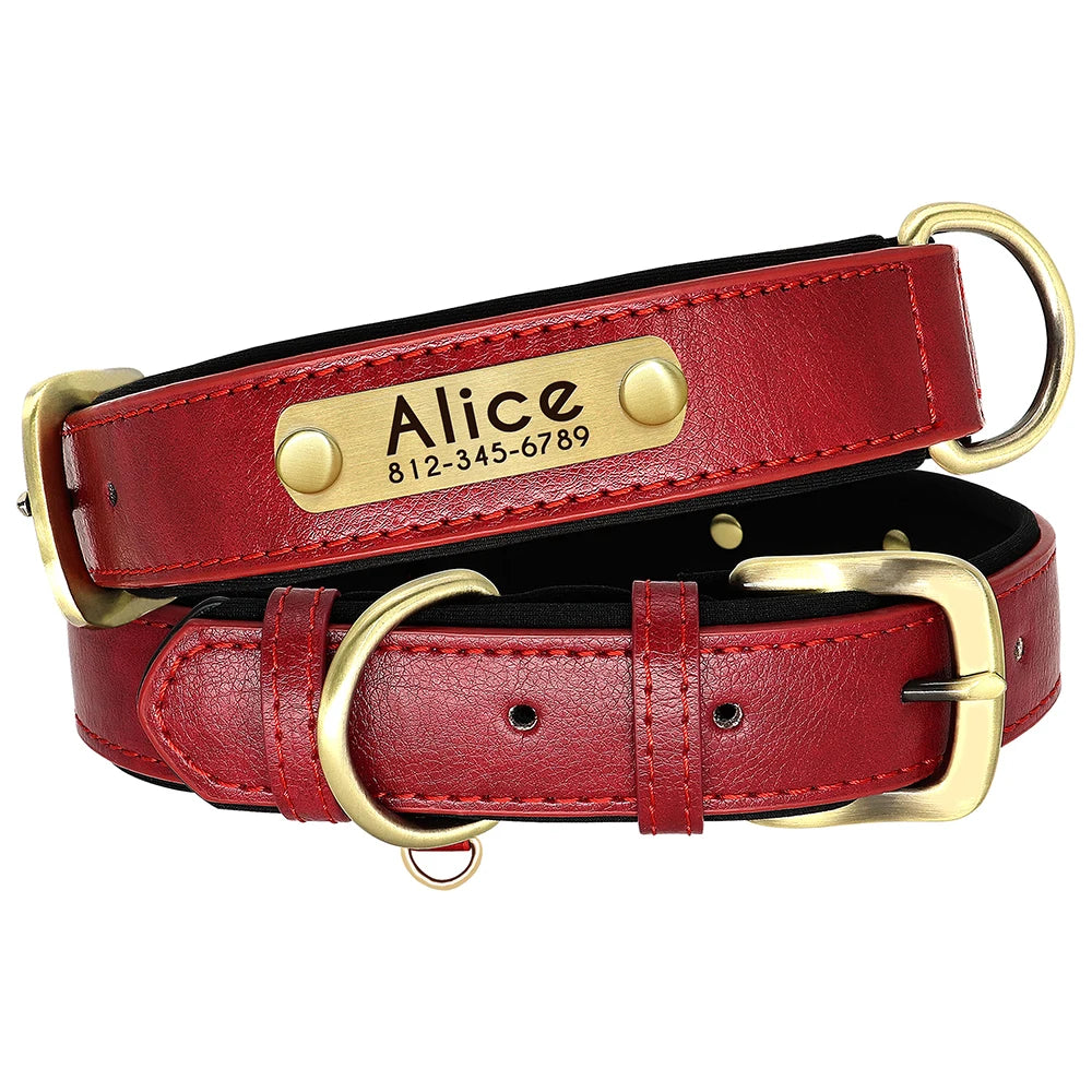 🐾 ¡El Collar de Cuero Personalizado que Tu Perro Merece! 🐾