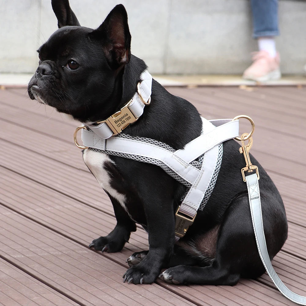 ¡El Collar Perfecto para tu Mejor Amigo Canino! - Mascotalux