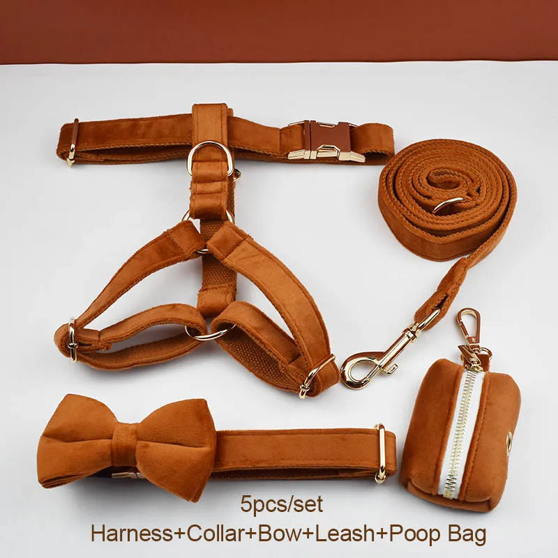 Conjunto Exclusivo: Collar y Correa de Terciopelo para Perros con Grabado Personalizado, ¡Estilo y Seguridad para tu Compañero Peludo! - Mascotalux