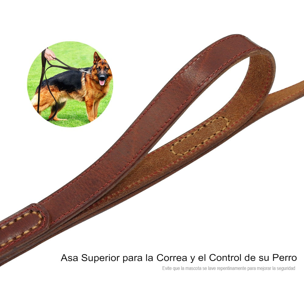 Correa Élite de Cuero Atemporal para Paseos de Lujo - Mascotalux
