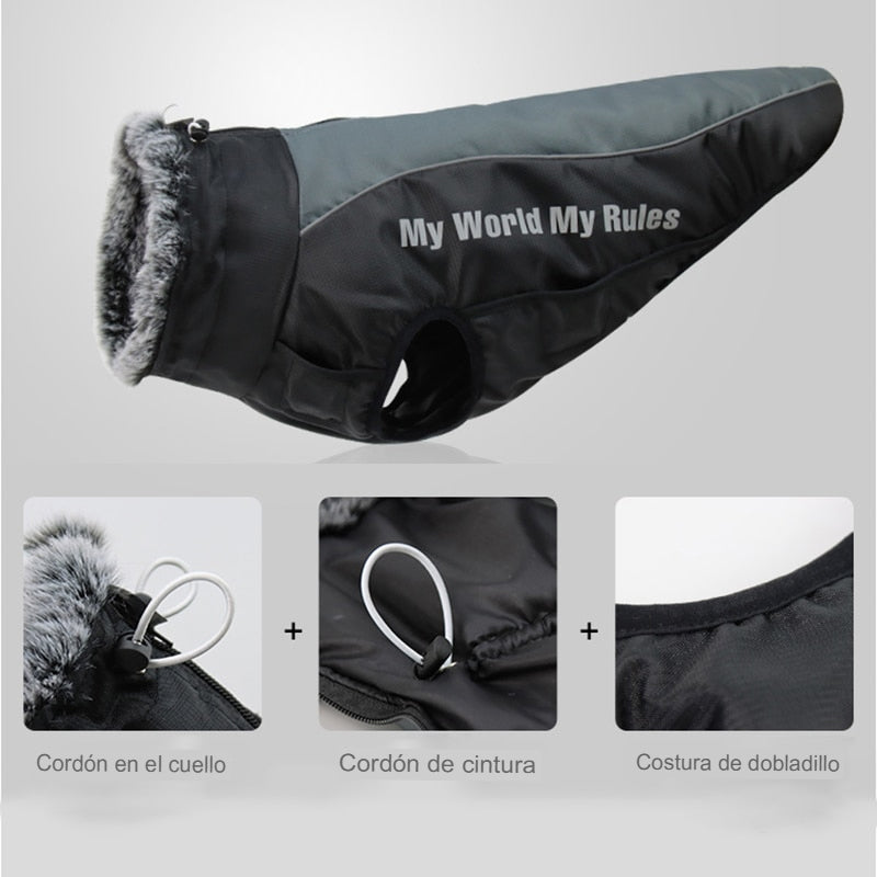 Ropa cálida de invierno para perro Labrador, chaqueta con arnés. - Mascotalux