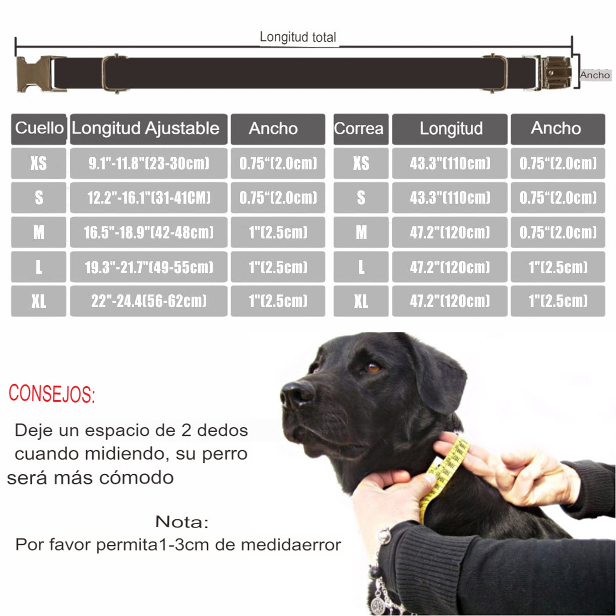 Collar personalizado para perro. Con placa de identificación y grabado gratis. - Mascotalux