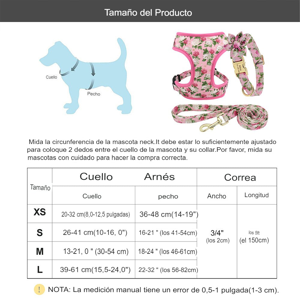 Arnés y correa para perro. Collar de perro personalizado. - Mascotalux