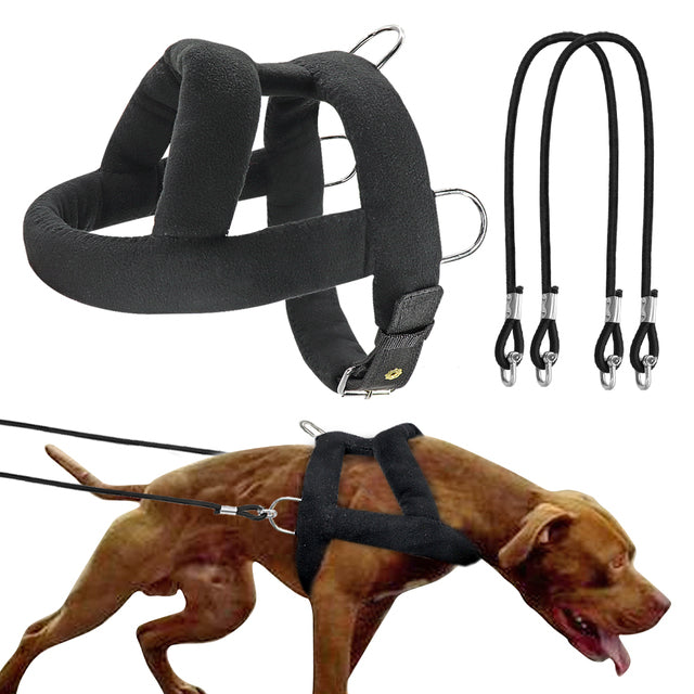 Arnés de entrenamiento de peso ajustable para perro, chaleco para tirar de peso. - Mascotalux
