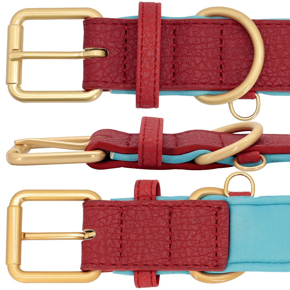 Collar con grabado personalizado para perro, acolchado de cuero, con placa de identificación personalizada, 2 capas, para perros pequeños y grandes, Pitbull - Mascotalux