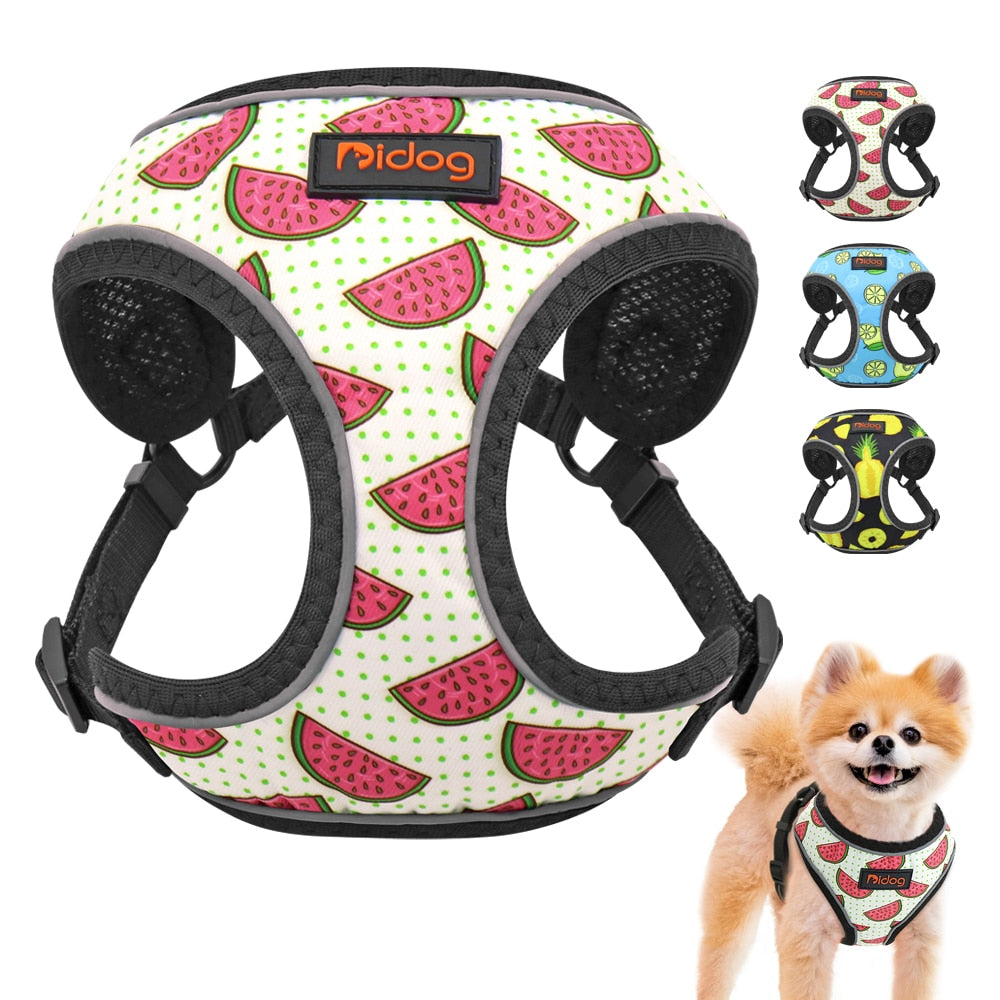 Arnés con estampado de frutas para perros y gatos pequeñas, Chihuahua, Yorkshire - Mascotalux