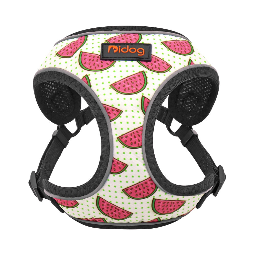 Arnés con estampado de frutas para perros y gatos pequeñas, Chihuahua, Yorkshire - Mascotalux