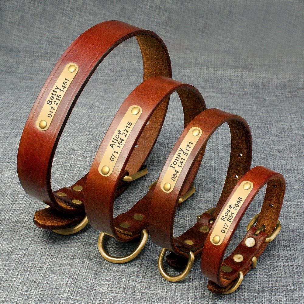 ¡Destaca con Estilo! Collar de Identificación de Piel Genuina para Mascotas - Grabado Personalizado Gratis - Mascotalux