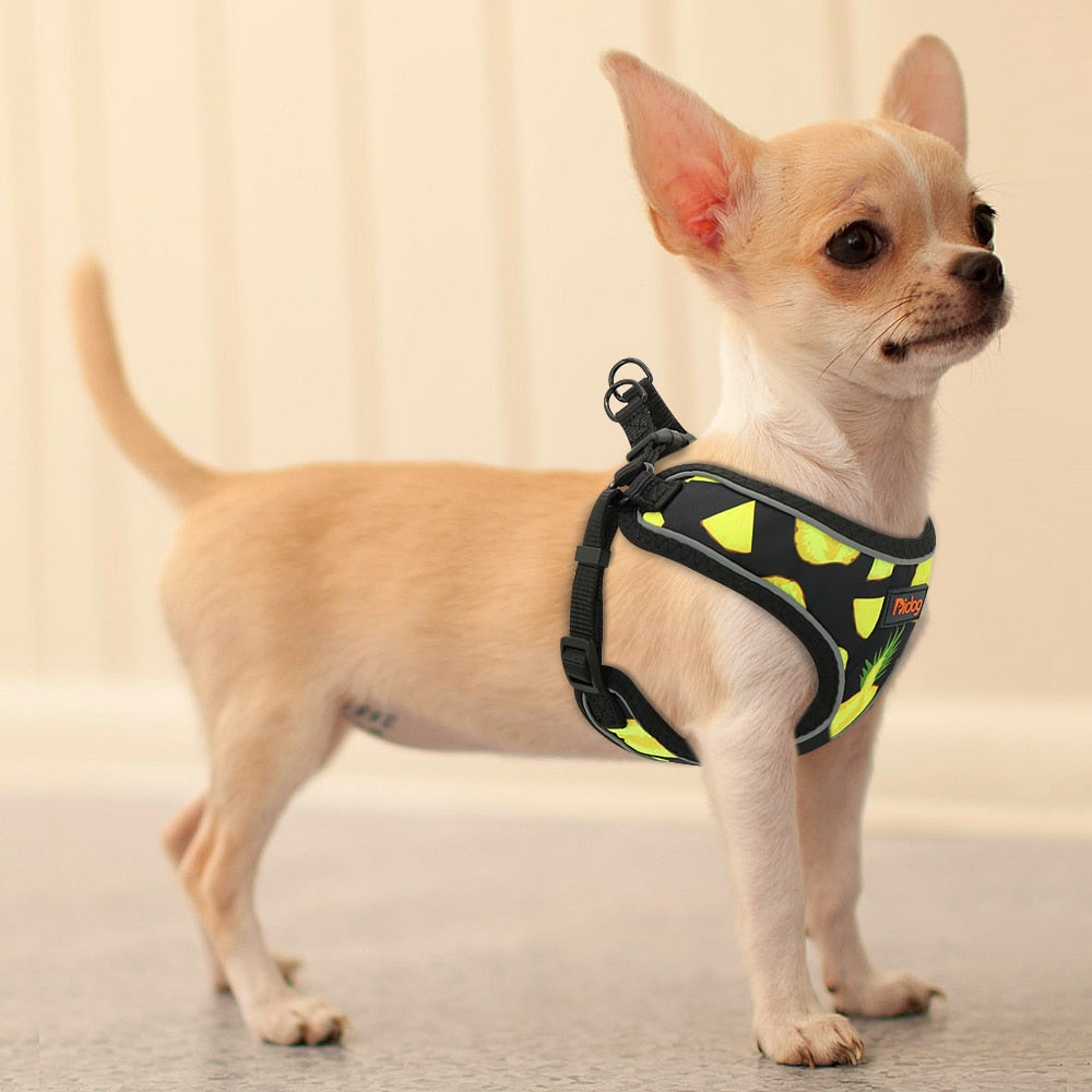 Arnés con estampado de frutas para perros y gatos pequeñas, Chihuahua, Yorkshire - Mascotalux