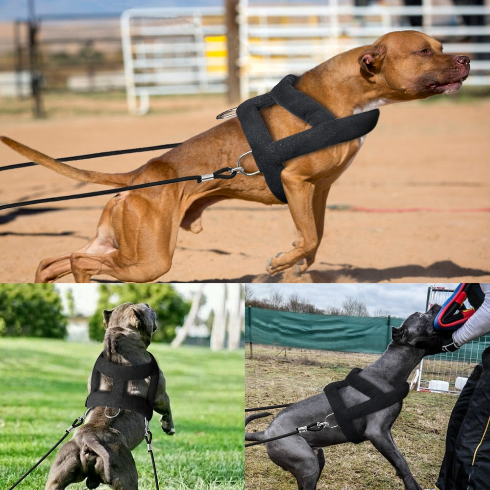 Arnés de entrenamiento de peso ajustable para perro, chaleco para tirar de peso. - Mascotalux