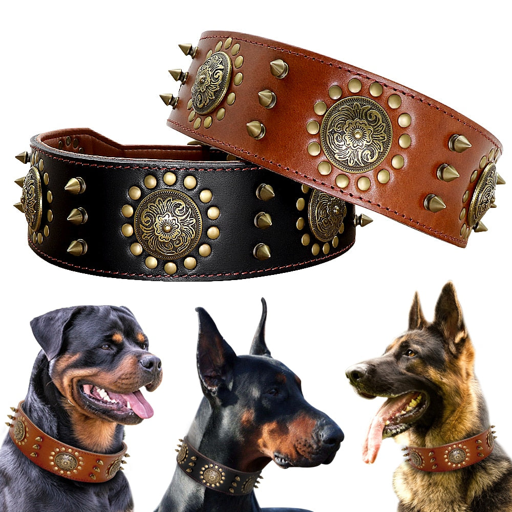 Collar de cuero para perro medianos y grandes, de cuero genuino. Pitbull - Mascotalux