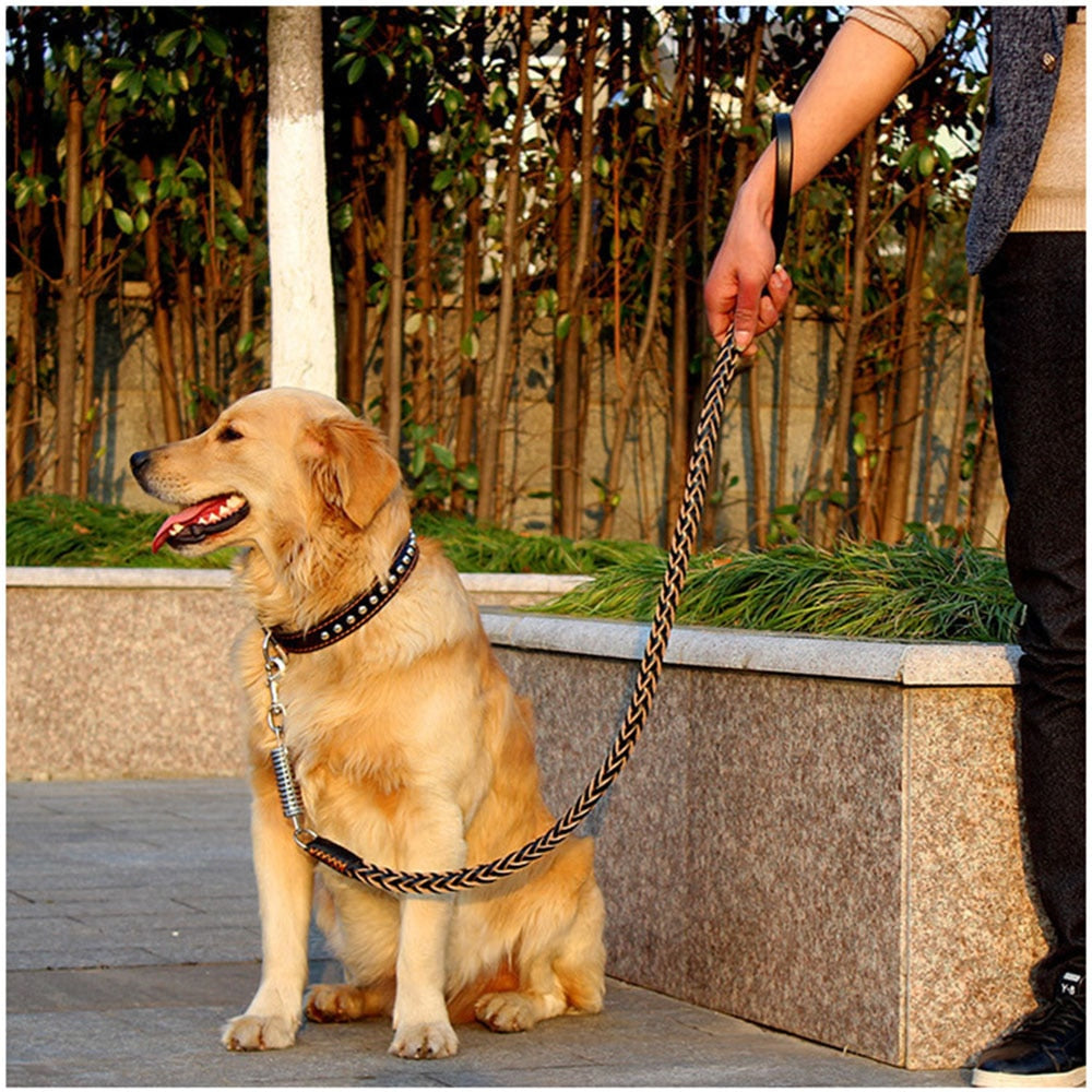 Correa trenzada de cuero genuino para perro, correa de entrenamiento. - Mascotalux