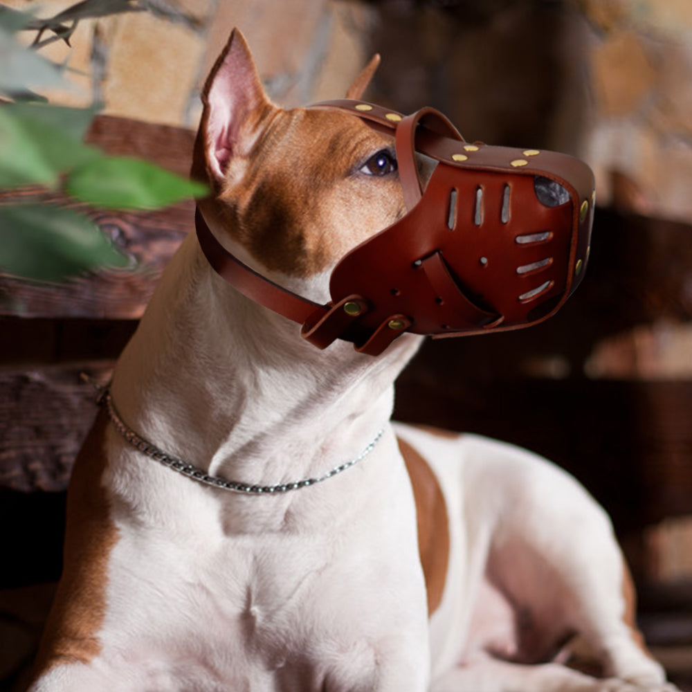 Bozales ajustables de cuero para perro, máscara para la boca, antiladridos - Mascotalux