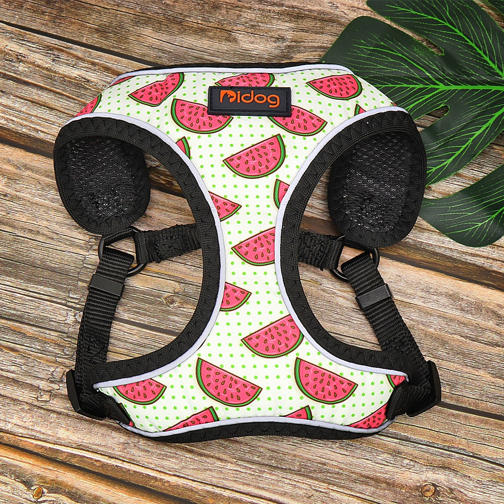 Arnés con estampado de frutas para perros y gatos pequeñas, Chihuahua, Yorkshire - Mascotalux