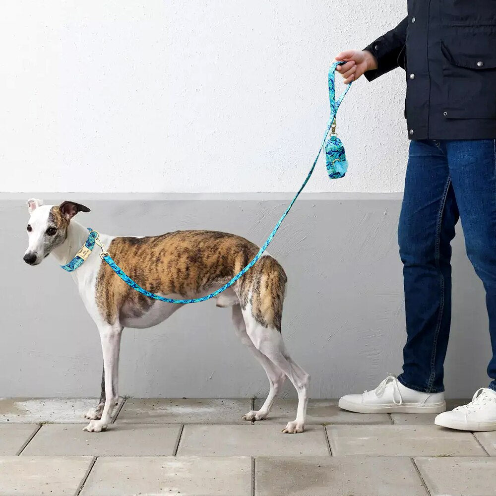 Correa y collar de nailon con flores para perro, conjunto de sujeción animal con estampado floral para mascota de tamaño pequeño, mediano y grande, incluye bolsa para comida de premio. - Mascotalux