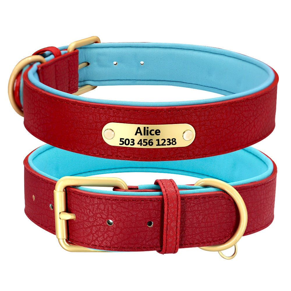 Collar con grabado personalizado para perro, acolchado de cuero, con placa de identificación personalizada, 2 capas, para perros pequeños y grandes, Pitbull - Mascotalux