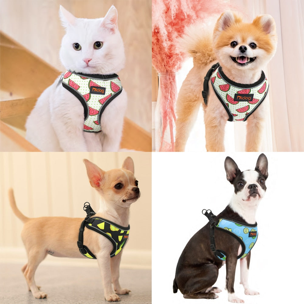 Arnés con estampado de frutas para perros y gatos pequeñas, Chihuahua, Yorkshire - Mascotalux