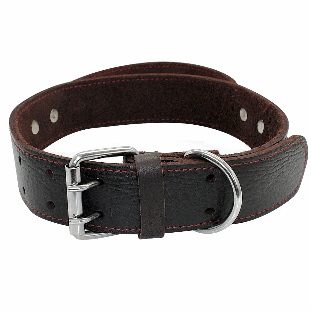 Collarín de entrenamiento duradero de cuero real para perros medianos y grandes. - Mascotalux