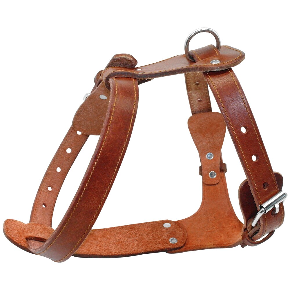 Arnés de cuero auténtico para perros, chaleco de entrenamiento para caminar. - Mascotalux