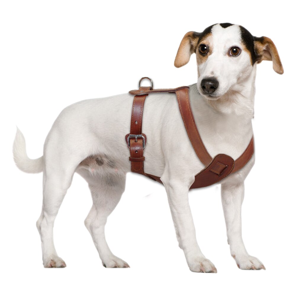 Arnés de cuero auténtico para perros, chaleco de entrenamiento para caminar. - Mascotalux