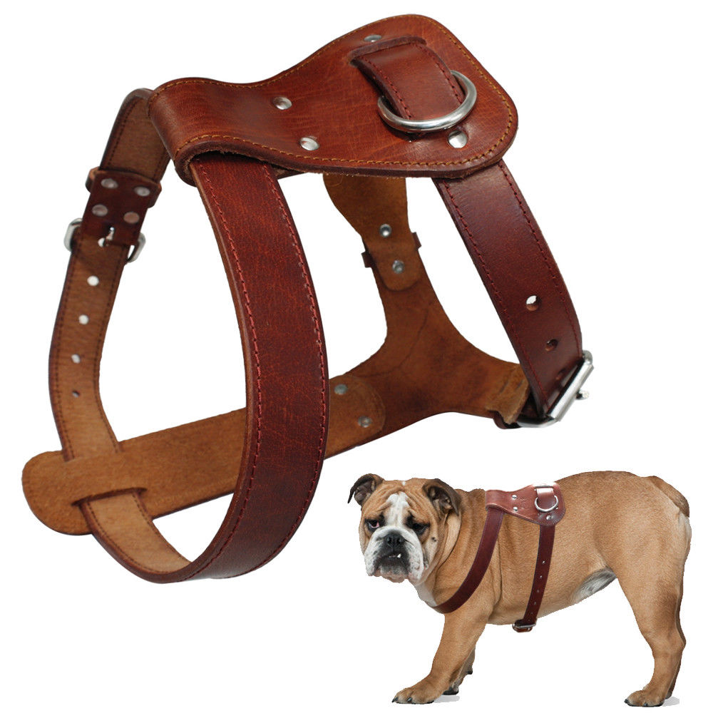 Arnés de cuero auténtico para perros, chaleco de entrenamiento para caminar. - Mascotalux