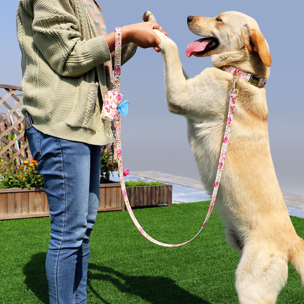 Correa y collar de nailon con flores para perro, conjunto de sujeción animal con estampado floral para mascota de tamaño pequeño, mediano y grande, incluye bolsa para comida de premio. - Mascotalux