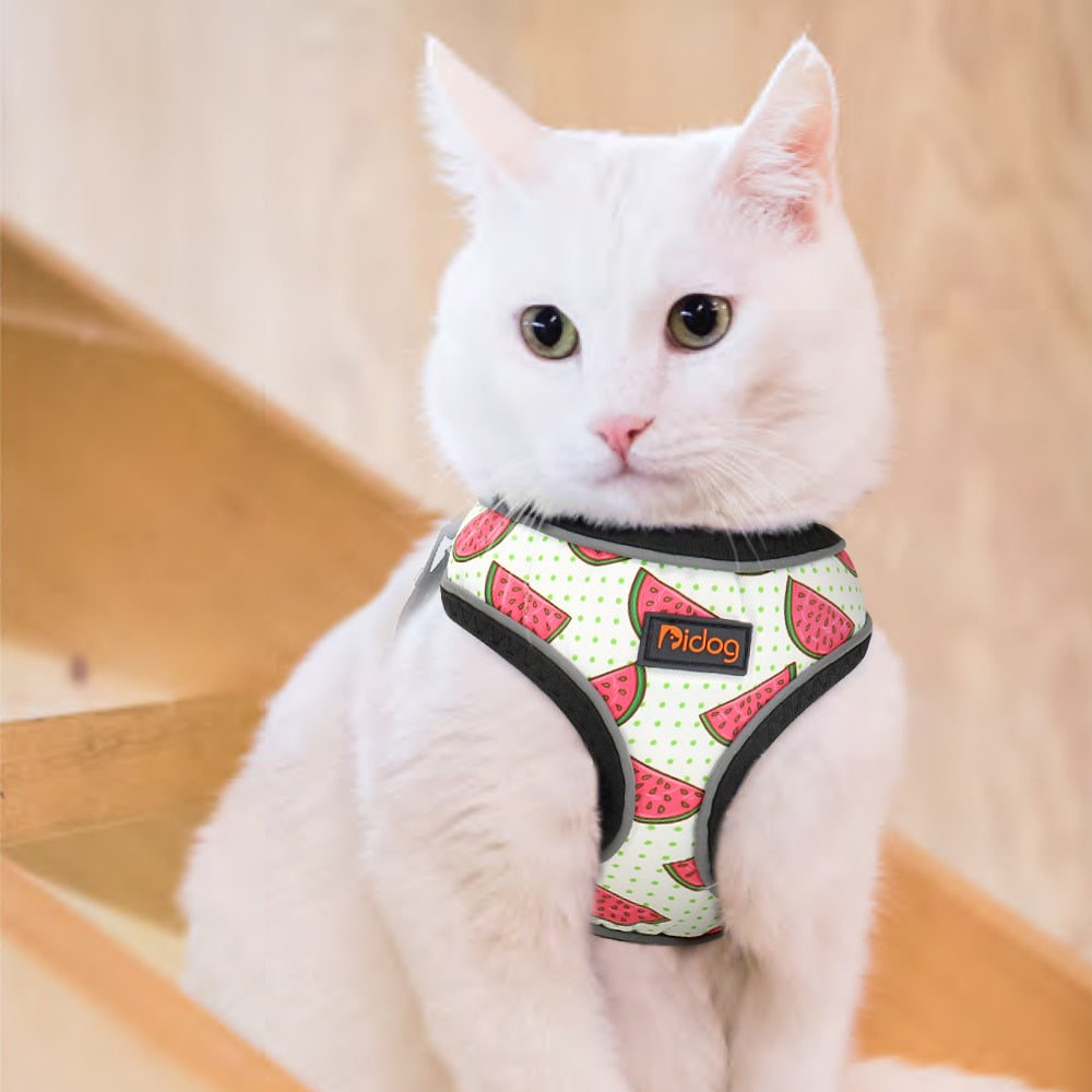 Arnés con estampado de frutas para perros y gatos pequeñas, Chihuahua, Yorkshire - Mascotalux