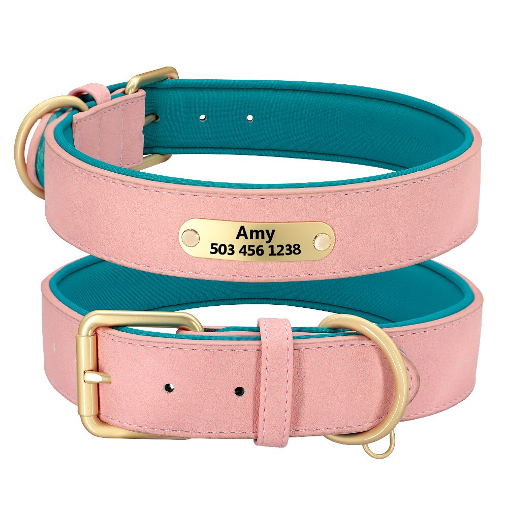Collar con grabado personalizado para perro, acolchado de cuero, con placa de identificación personalizada, 2 capas, para perros pequeños y grandes, Pitbull - Mascotalux