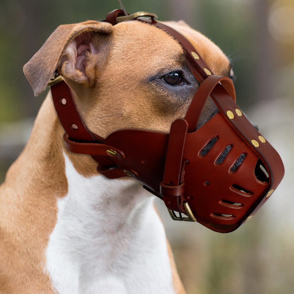 Bozales ajustables de cuero para perro, máscara para la boca, antiladridos - Mascotalux