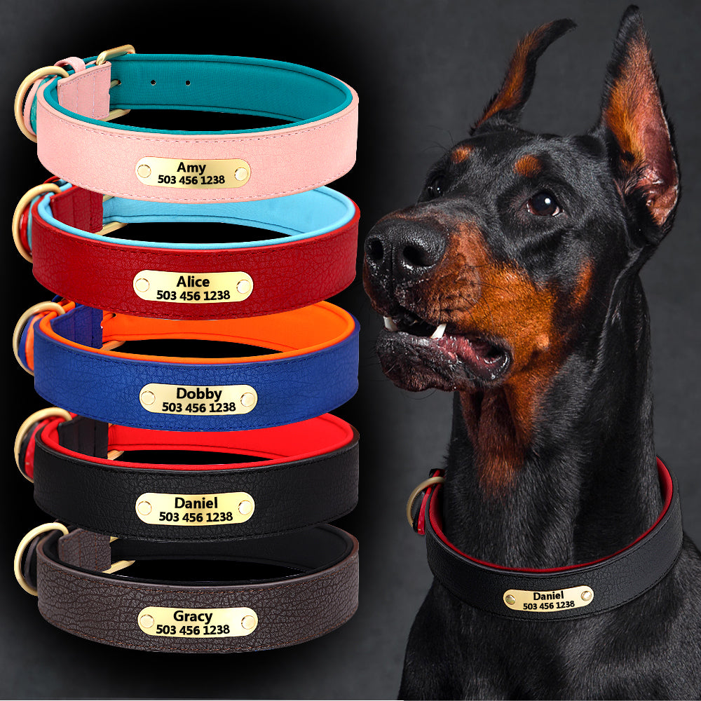 Collar con grabado personalizado para perro, acolchado de cuero, con placa de identificación personalizada, 2 capas, para perros pequeños y grandes, Pitbull - Mascotalux