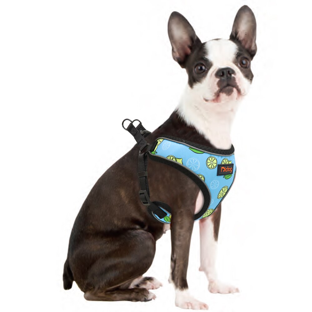 Arnés con estampado de frutas para perros y gatos pequeñas, Chihuahua, Yorkshire - Mascotalux