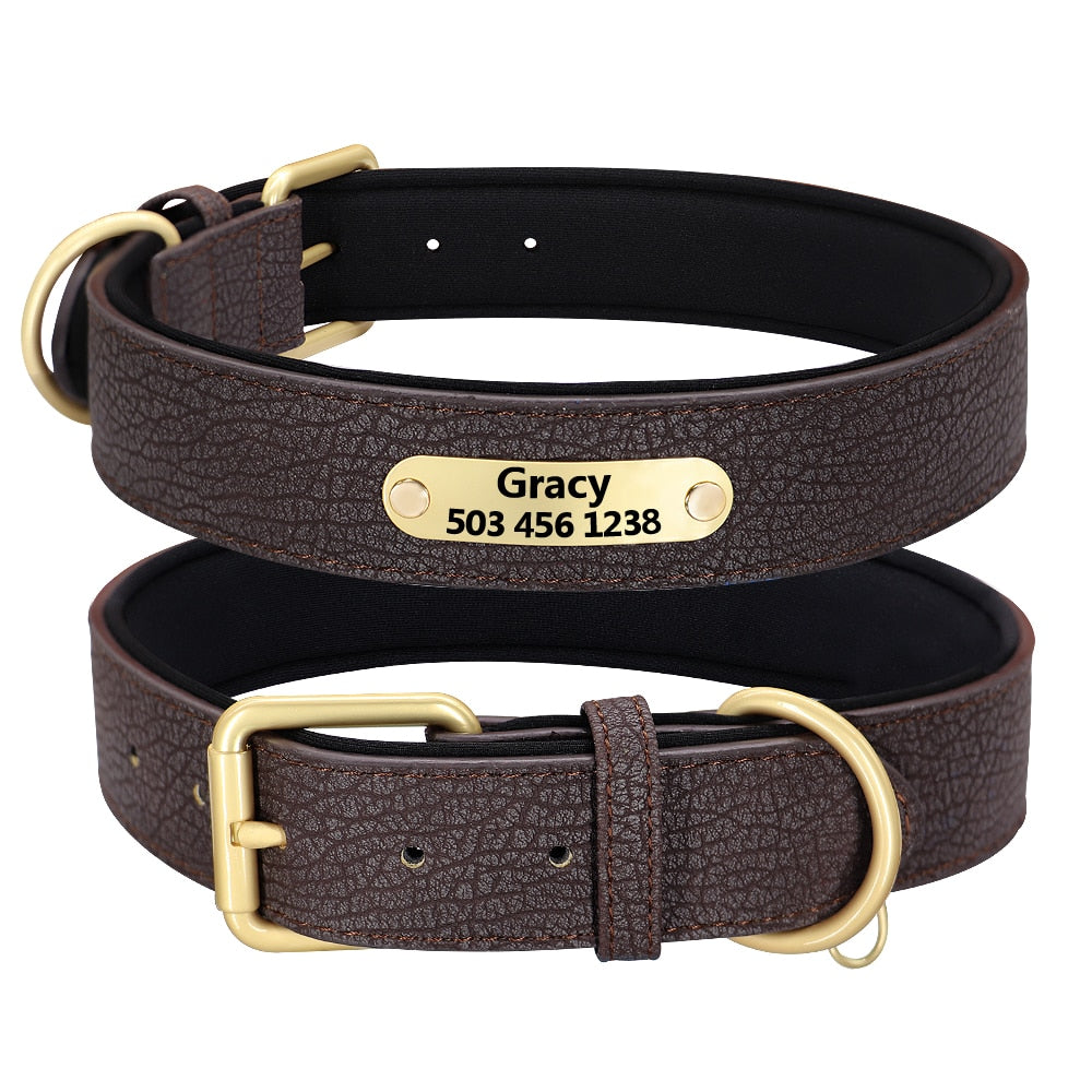 Collar con grabado personalizado para perro, acolchado de cuero, con placa de identificación personalizada, 2 capas, para perros pequeños y grandes, Pitbull - Mascotalux