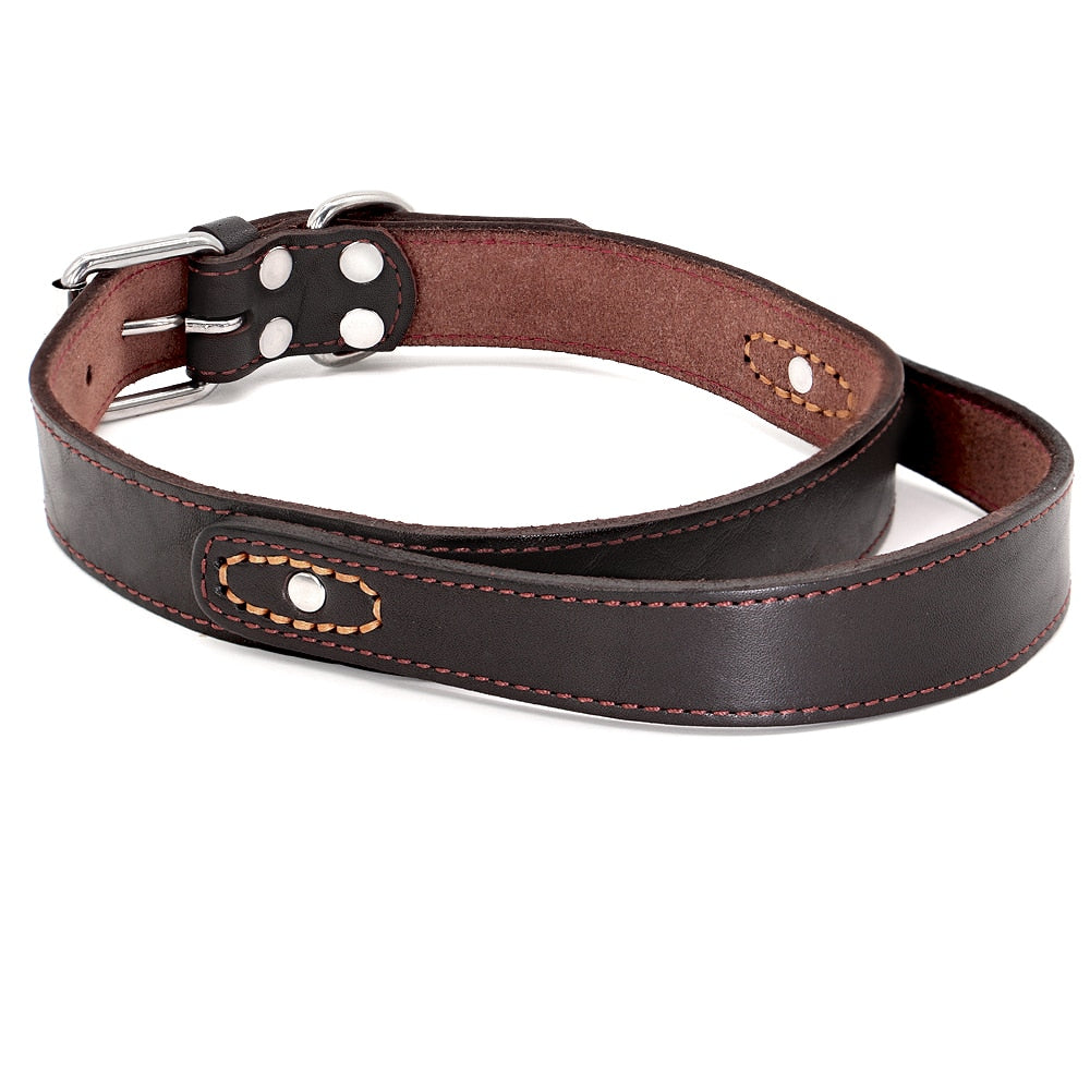 Collarín de entrenamiento duradero de cuero real para perros medianos y grandes. - Mascotalux