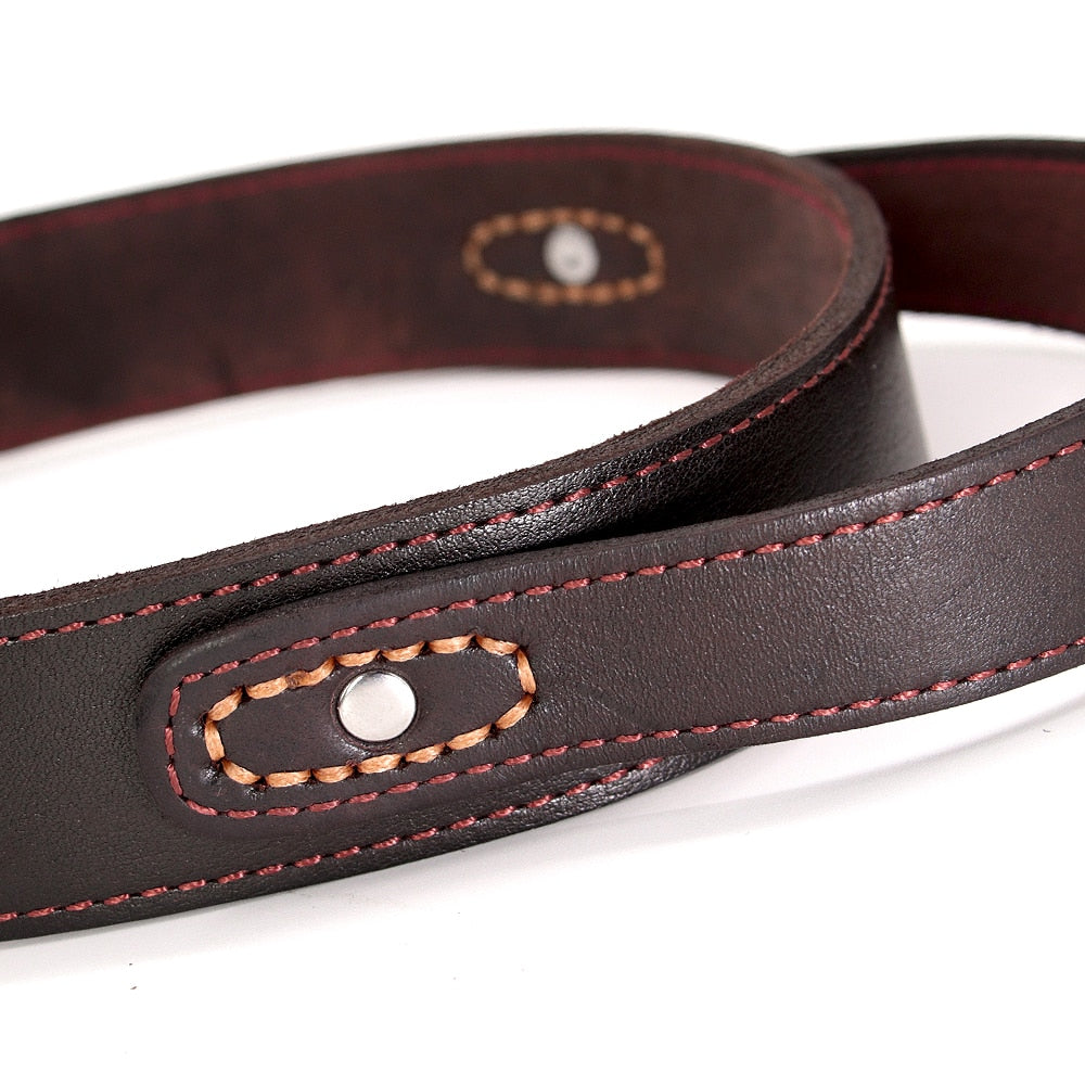 Collarín de entrenamiento duradero de cuero real para perros medianos y grandes. - Mascotalux